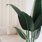 M&k Apartman