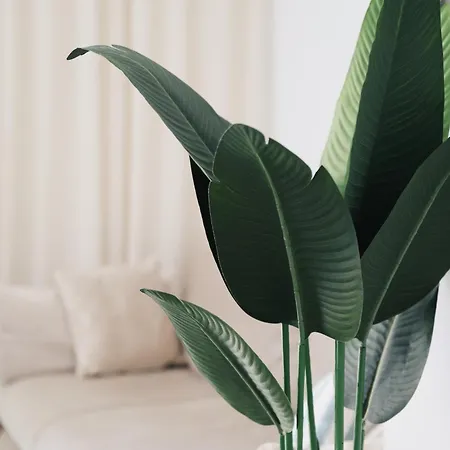 M&k Apartment